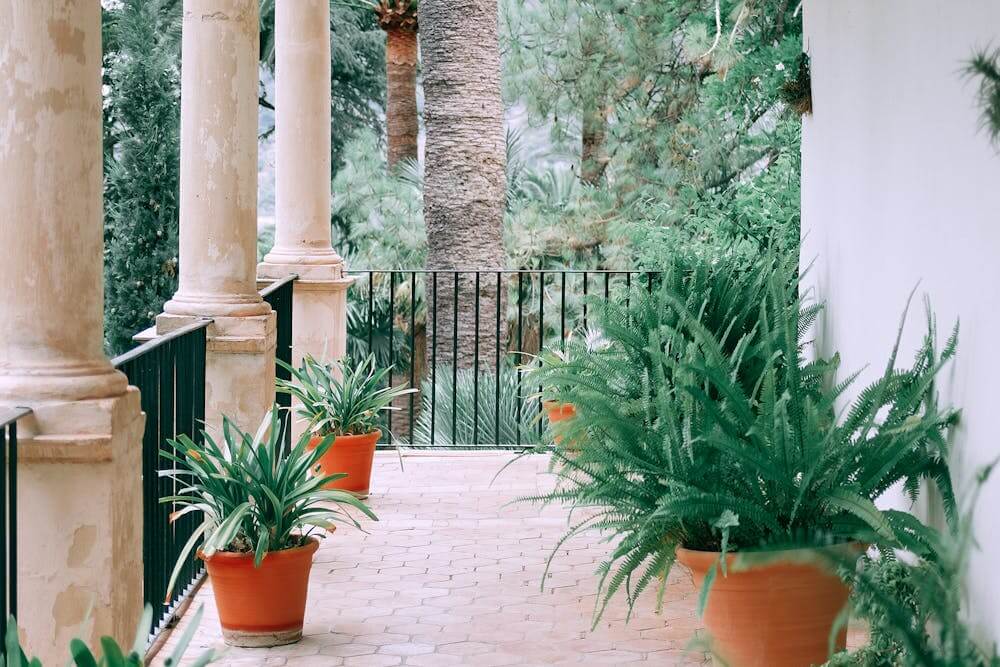 Understand Your Target Audience